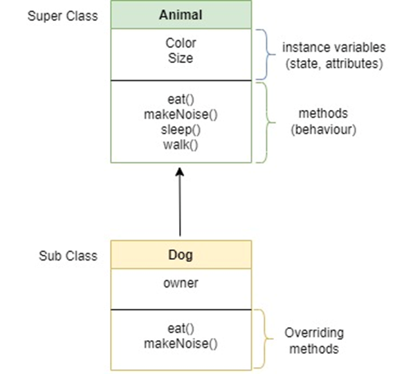 Inheritance Part 2: Extending Classes (Java) 