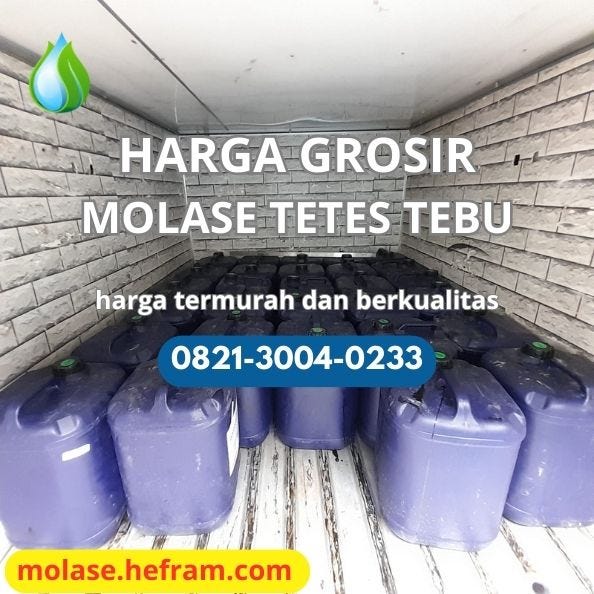 Penggemukan Sapi: Meningkatkan Produksi Daging dengan Efisien