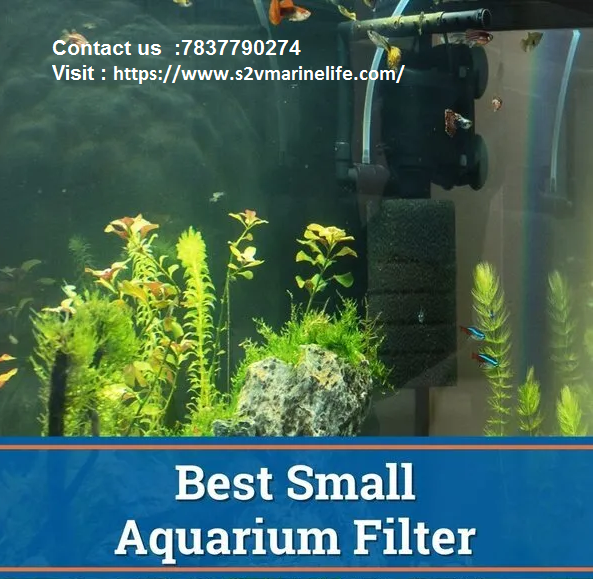 Sobo Aquarium Filter — Why Choose S2V Marine Life | Buy Best Fish Tank ...