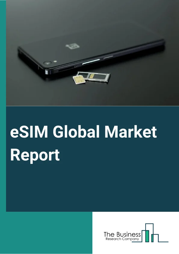 esim-market-size-share-trends-analysis-report-2030-by-sam