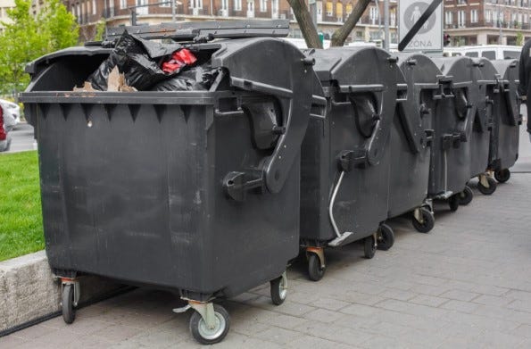 Waste Management Carson City and Dumpster Rental Solutions