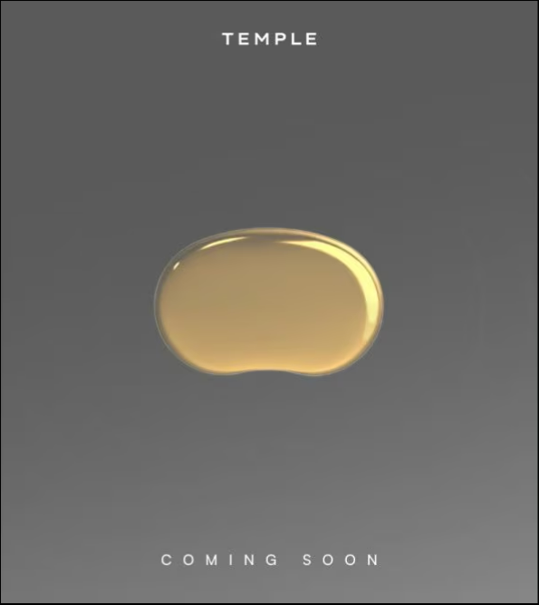 Eternal(Temple) Interview Experience for SDE Intern