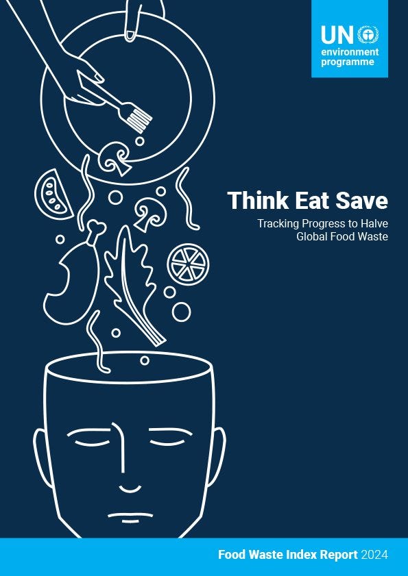 Global Impact of Food Waste: Insights from the UN Environment Programme