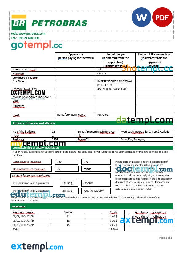 Paraguay Petrobras Paraguay Operations and Logistics gas company utility bill template in Word and…