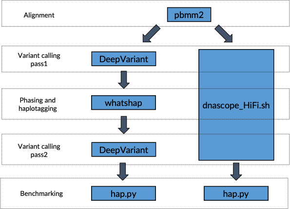 Figure 1. Small variant calling analysis workflow for PacBio® HiFi reads. Every box contains the software used for read alignment, variant calling (two passes), phasing, and variant benchmarking. We performed two pipelines, DeepVariant and DNAscope (dnascope_HiFi.sh) in this project.