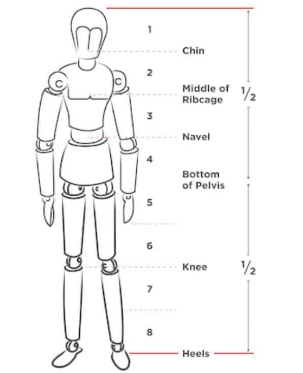 The Male Human Body Proportions - How To Get Them Right Using the