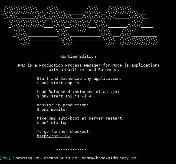 Install PM2 and run for your application in Linux | by Prakash Singh |  Analytics Vidhya | Medium