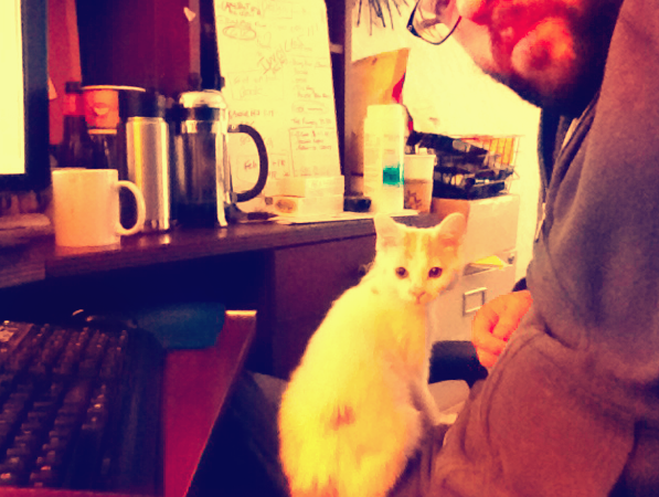 Diary of a Crazy Cat Dude. Pets and deadlines and deadlines and… | by