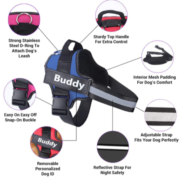 Personalized No Pull Dog Harness — Buddy Harness by khurshidahmad