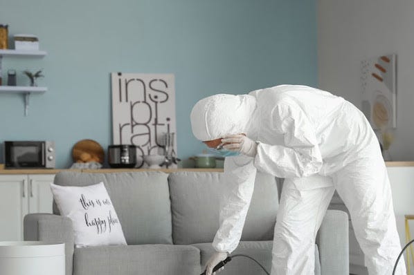 Top-Rated Pest Control in Hampshire: Say Goodbye to Unwanted Pests!