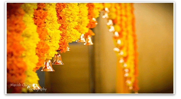 Marigold — The Perfect Indian Wedding Flower | by vandana naina | Medium