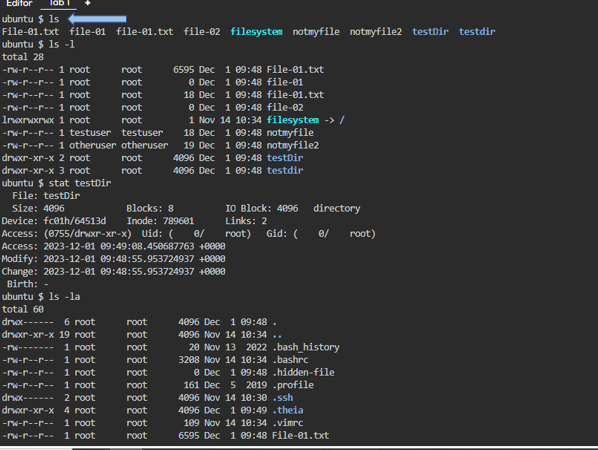 Basic Linux Commands. Bourne Again Shell (Bash) | by Afor Linda Odoma ...