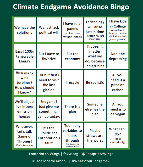 Climate Endgame Avoidance Bingo. Do you want to get to zero carbon ...