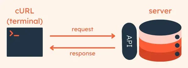 Beginner’s Guide to Using cURL. Getting Started with cURL: Tips for ...