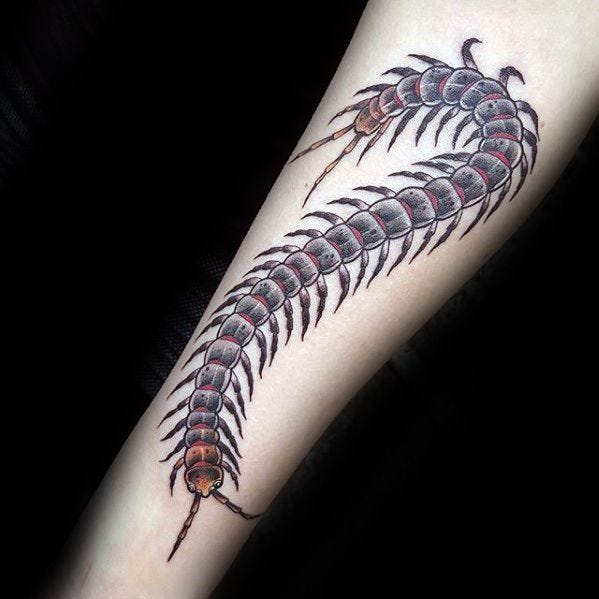 tribal centipede tattoo