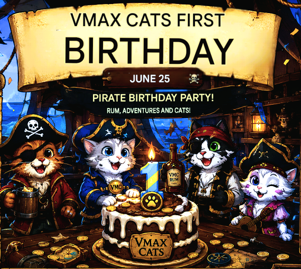 VMax Cats 1st Anniversary: One Year at Sea