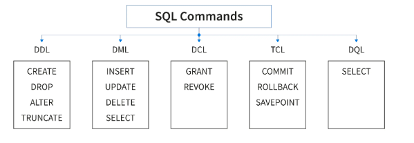 SQL Introduction Database. Start by explaining what SQL database… | by ...