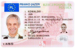Pools Rijbewijs Kopen