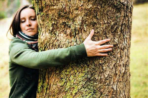 The Tree Grounding Technique — The Benefits of Tree Grounding Exercises