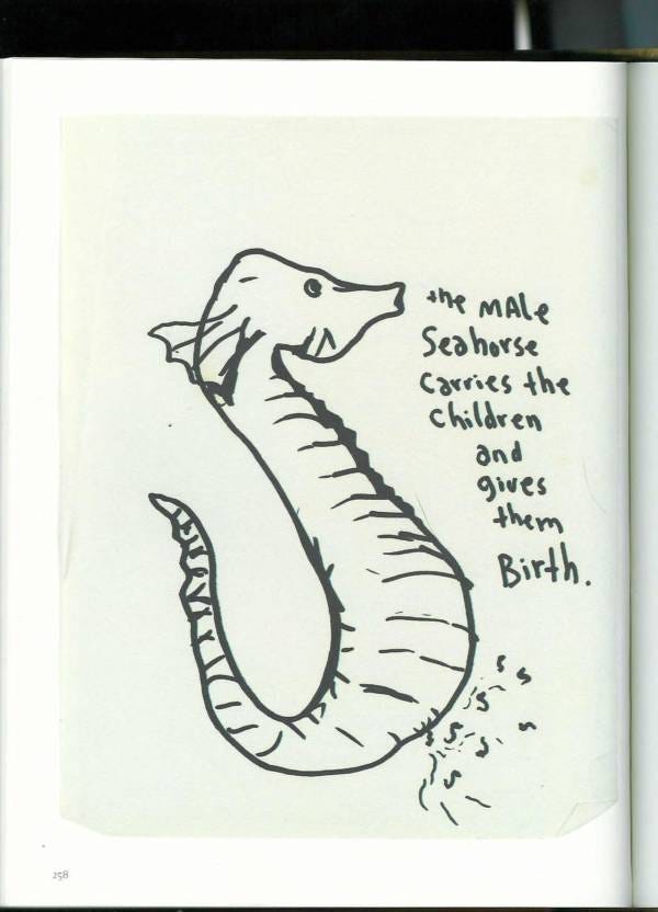 Kurt Cobain journal entry art of a male seahorse giving birth with writing alongside that reads the male seahorse carries the children and gives them birth