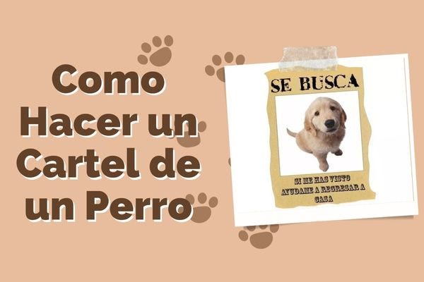 Como Hacer un Cartel de un Perro - Perri.top - Medium