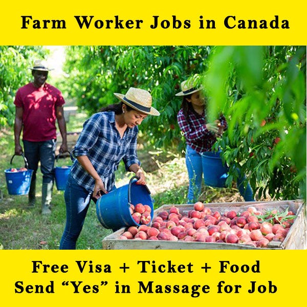 Farm Worker Jobs in Canada. Farm worker jobs in Canada, are offered