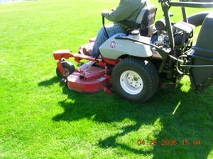 How to Stripe a Lawn With a Riding Mower: Expert Tips Revealed