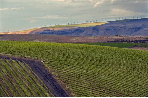 The Pros And Cons Of Buying Agricultural Land By Debuwala India Medium