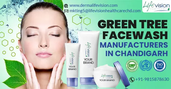 Revolutionizing Skincare: The Green Tree Facewash Manufacturers in ...