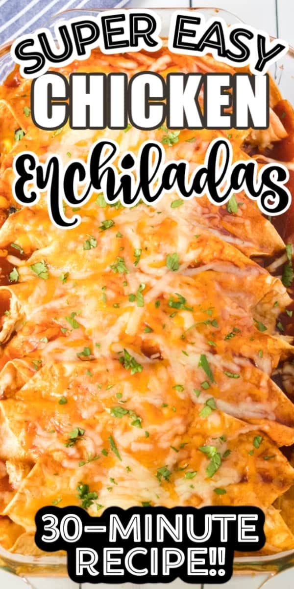 Easy Chicken Enchilada Recipe 30 Minute Dinner Sex Gerl Porno Hub