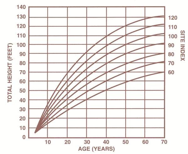 Growth And Yield Curves The Full Lands INtegration Tool Aka By 