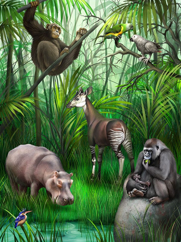 The Emergence of New Animal Species by Aaron Mboma An Idea (by