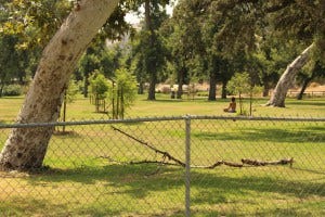 Not all parks were created equal. Bette Davis Picnic Area is a 
