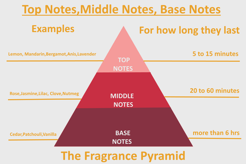 Fragrance Pyramid.Source : https://blackfridaybrand.com/