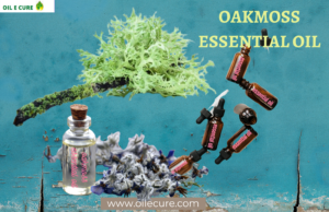The Health Benefits of Oakmoss Essential Oil, by OileCure