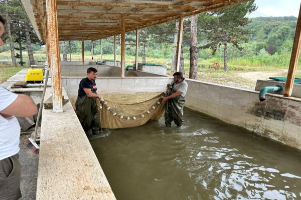 2023’ün İlk yavruları Başkente gönderiliyor