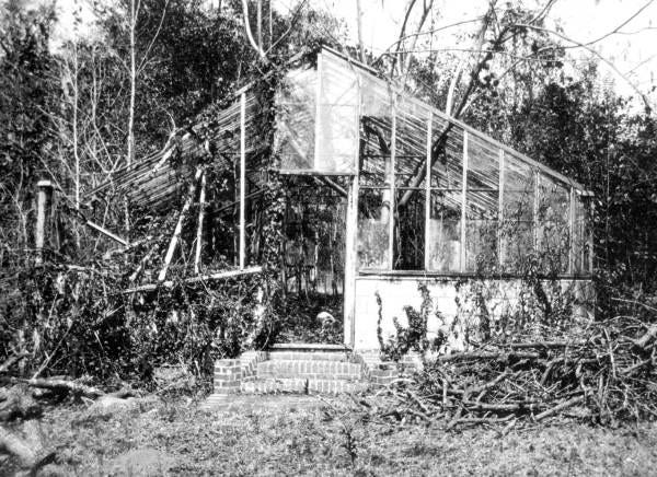How Greenhouses Fight Back Against Extreme Winds: A Global Perspective