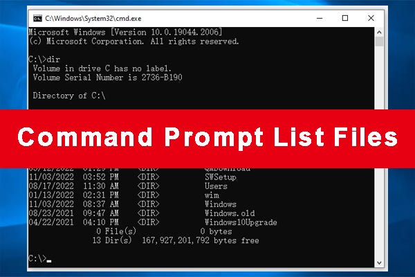 Full Fixes] Can't Type in Command Prompt Windows 10/11 - MiniTool Partition  Wizard