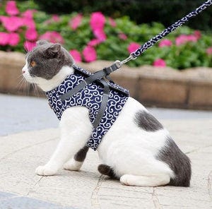 Cat vest clearance harness