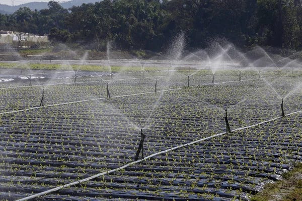 Pemuda Desa Manfaatkan Teknologi Murah untuk Pertanian