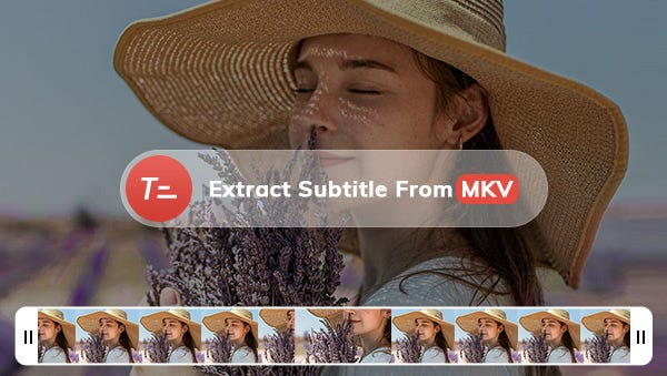 Extract Subtitles from MKV: 4 Best Methods (Desktop/Online) | by Nancy  Malena | Dec, 2023 | Medium