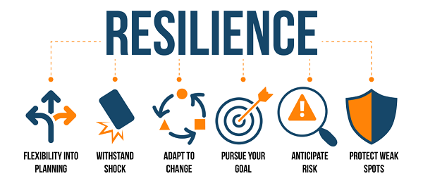 What is resilience . Resilience has been a hot word these by