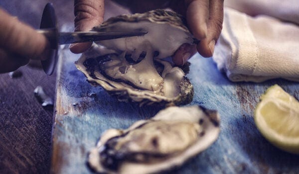 Eating Oysters With the Dead