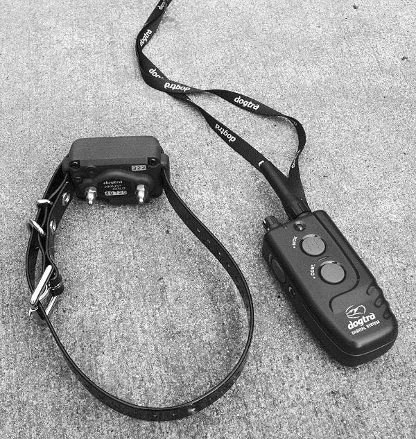 How to Train Your Dog With a Shock Collar Pro Tips by Iffat Jun