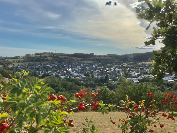 Der Hallenberger Lenz: Ein Fest für den Wald