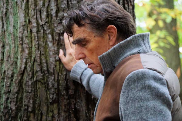 The Tree Grounding Technique — The Benefits of Tree Grounding Exercises