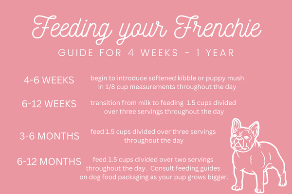 How Much to Feed French Bulldog Puppy: Ultimate Guide for Optimal Nutrition