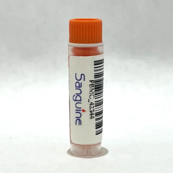 PBMCs Vs Leukopaks: Best Human Immune Cell for Immunology and Cell Therapy Research