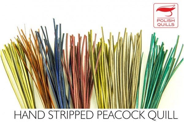 Polish Quills Stripped Peacock Quills