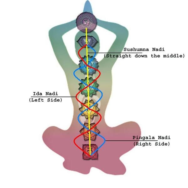 Yoga and The Spine. The spine is the most important piece…